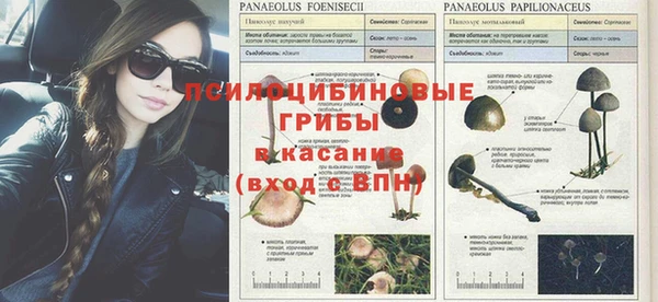соль курить ск Алексеевка