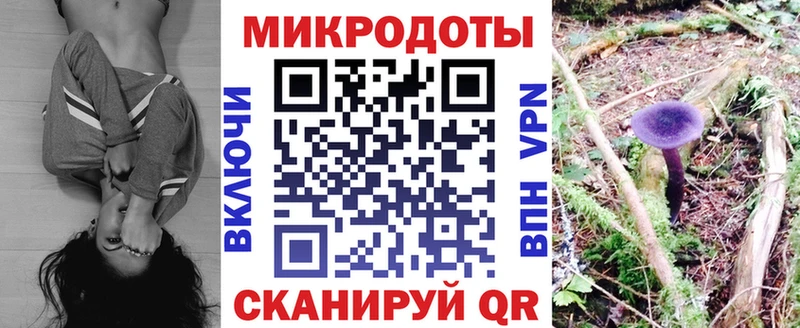 Псилоцибиновые грибы GOLDEN TEACHER  Жуковский 